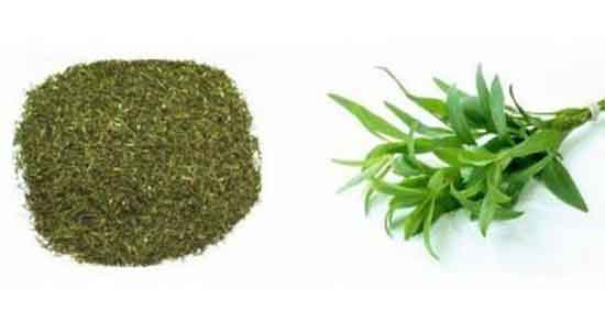 خواص ترخون برای ریزش مو ؛ فواید ترخون برای جلو گیری از ریزش مو خواص ترخون برای ریزش مو ؛ فواید ترخون برای جلو گیری از ریزش مو