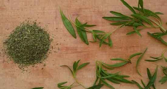 خواص ترخون در دوران بارداری ؛ فواید مصرف ترخون در دوران بارداری خواص ترخون در دوران بارداری ؛ فواید مصرف ترخون در دوران بارداری