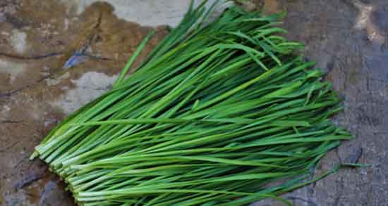 خواص تره در بدنسازی ؛ فواید مصرف تره برای ورزشکاران و بدنسازان خواص تره در بدنسازی ؛ فواید مصرف تره برای ورزشکاران و بدنسازان