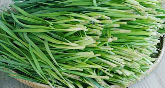 خواص تره فرنگی برای کودک ؛ فواید مصرف تره فرنگی برای اطفال خواص تره فرنگی برای کودک ؛ فواید مصرف تره فرنگی برای اطفال