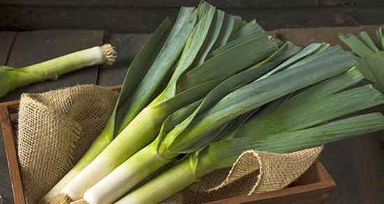 خواص تره فرنگی و عسل ؛ فواید مصرف تره فرنگی و عسل برای عفونت خواص تره فرنگی و عسل ؛ فواید مصرف تره فرنگی و عسل برای عفونت