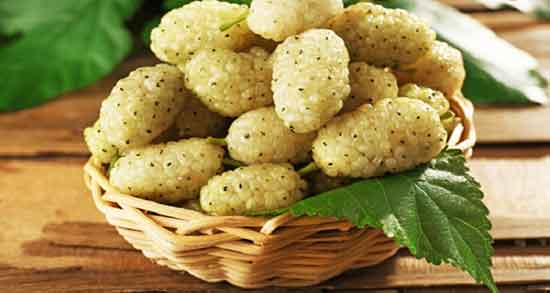 خواص توت برای پوست ؛ فواید مصرف توت خشک برای پوست صورت