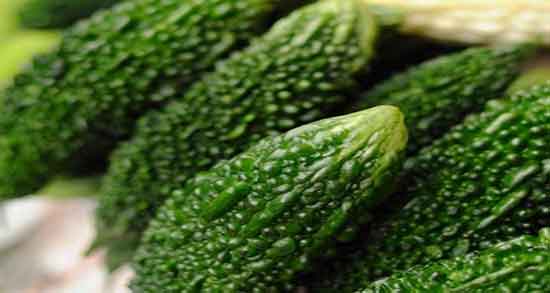 خواص خربزه تلخ برای بواسیر ؛ ایا مصرف خربزه تلخ برای بواسیر مفید است خواص خربزه تلخ برای بواسیر ؛ ایا مصرف خربزه تلخ برای بواسیر مفید است