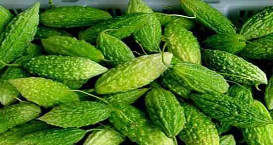 خواص خربزه تلخ برای سرطان ؛ فواید مصرف خربزه تلخ برای درمان سرطان خواص خربزه تلخ برای سرطان ؛ فواید مصرف خربزه تلخ برای درمان سرطان