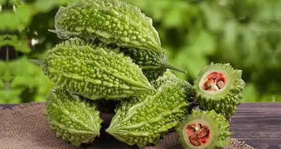 خواص خربزه تلخ و عکس و روش استفاده از خربزه تلخ + خواص خربزه جذامی خواص خربزه تلخ ؛ عکس و روش استفاده از خربزه تلخ + خواص خربزه جذامی