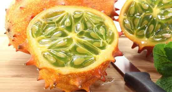 خواص خربزه شاخدار ، خربزه شاخدار در ایران + قیمت خربزه شاخدار خواص خربزه شاخدار ، خربزه شاخدار در ایران + قیمت خربزه شاخدار