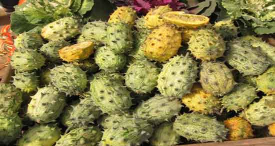 خواص خربزه شاخدار برای استخوان ؛ فواید خربزه شاخدار برای درد مفاصل