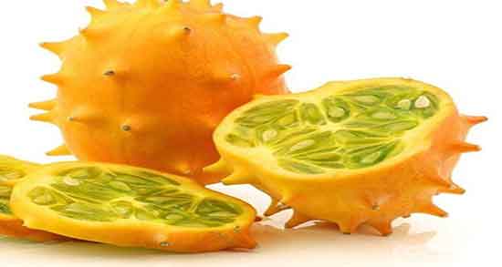 خواص خربزه شاخدار برای سرطان ؛ فواید خربزه شاخدار برای درمان سرطان خواص خربزه شاخدار برای سرطان ؛ فواید خربزه شاخدار برای درمان سرطان