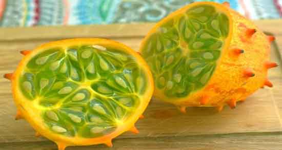 خواص خربزه شاخدار برای فشار خون ؛ فواید خربزه شاخدار برای فشار خون خواص خربزه شاخدار برای فشار خون ؛ فواید خربزه شاخدار برای فشار خون