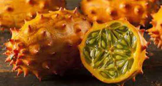 خواص خربزه شاخدار برای لاغری ؛ فواید خربزه شاخدار برای چربی سوزی