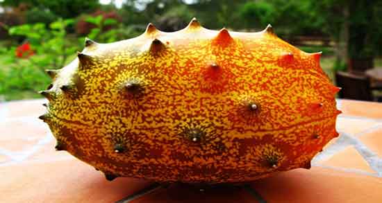 خواص خربزه شاخدار برای مغز ؛ فواید خربزه شاخدار برای تقویت حافظه