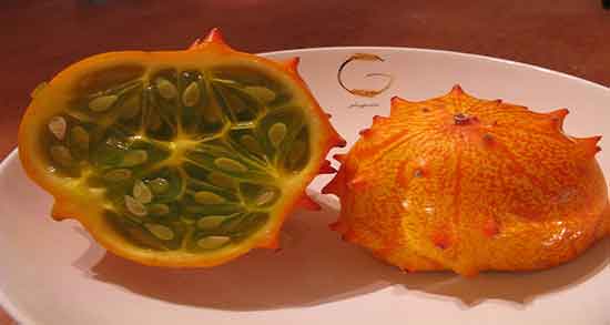 خواص خربزه شاخدار برای پوست ؛ فواید مصرف خربزه شاخدار برای صورت خواص خربزه شاخدار برای پوست ؛ فواید مصرف خربزه شاخدار برای صورت