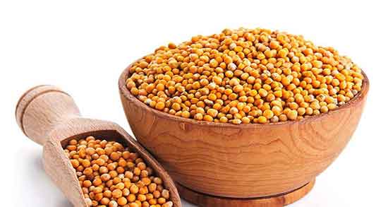 خواص خردل برای بارداری ؛ فواید مصرف خردل برای جنین زنان باردار