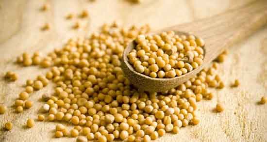 خواص خردل برای حافظه ؛ ایا خوردن خردل برای تقویت حافظه مفیده خواص خردل برای حافظه ؛ ایا خوردن خردل برای تقویت حافظه مفیده