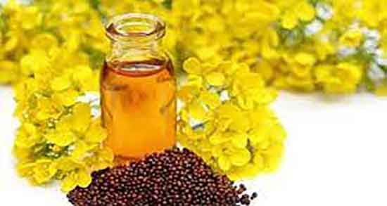 خواص خردل برای زنان ؛ ایا مصرف پودر خردل برای تخمدان زنان مفیده