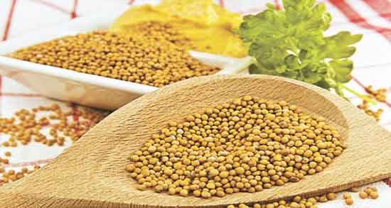 خواص خردل برای مردان ؛ فواید مصرف خردل برای تقویت اسپرم اقایان