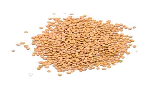 خواص خردل در بارداری و فواید مصرف خردل در دوران بارداری چیست خواص خردل در بارداری ؛ فواید مصرف خردل در دوران بارداری چیست