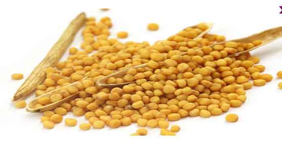 خواص خردل در لاغری و ایا مصرف خردل برای چربی سوزی بدن مفید است خواص خردل در لاغری ؛ ایا مصرف خردل برای چربی سوزی بدن مفید است