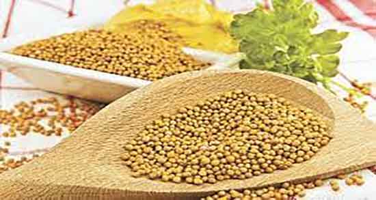 خواص خردل چیست ؛ فواید مصرف روغن خردل برای تقویت موی سر
