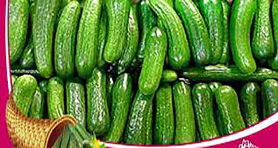 خواص خیار سبز برای کبد ؛ فواید مصرف خیار سبز برای درمان کبد چرب