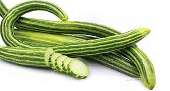 خواص خیار سبز در بارداری ؛ فواید مصرف خیار سبز برای زنان باردار