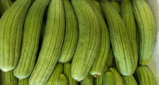 خواص خیار چنبر برای کودکان ؛ فواید خوردن خیار چنبر برای سلامت کودکان