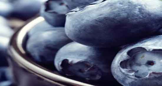 خواص درمانی بلوبری ؛ ایا خوردن بلوبری برای بدن خواص دارویی دارد خواص درمانی بلوبری ؛ ایا خوردن بلوبری برای بدن خواص دارویی دارد