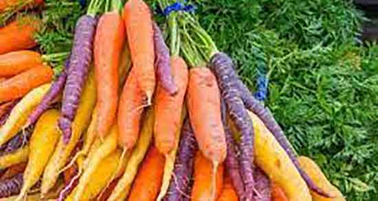 خواص درمانی هویج فرنگی و فواید مصرف هویج فرنگی برای قوای جنسی خواص درمانی هویج فرنگی ؛ فواید مصرف هویج فرنگی برای قوای جنسی