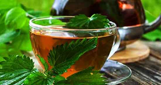 خواص دمنوش گزنه و در بیماری زنان و فواید و مضرات چای گزنه خواص دمنوش گزنه ؛ در بیماری زنان + فواید و مضرات چای گزنه