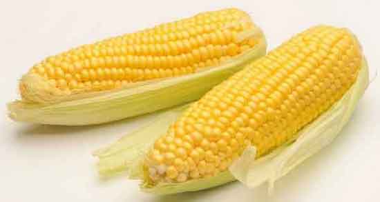 خواص ذرت مکزیکی خام ؛ تقویت سیستم ایمنی بدن با مصرف ذرت مکزیکی خام