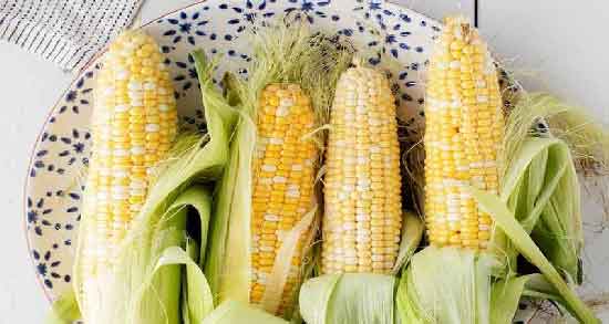 خواص ذرت مکزیکی در بدنسازی ؛ وجود کربوهیدرات در ذرت مکزیکی مفید برای بدنسازی