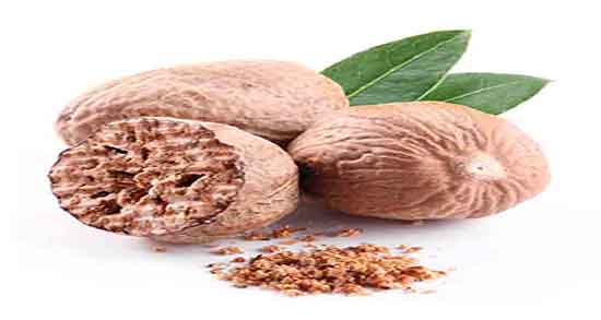 خواص روغن جوز هندی برای مو ؛ فواید روغن جوز هندی برای پوست خواص روغن جوز هندی برای مو ؛ فواید روغن جوز هندی برای پوست