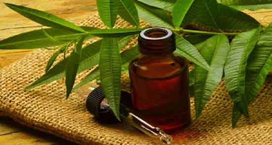 خواص روغن حنا برای پوست و داشتن پوستی سالم با مصرف روغن حنا خواص روغن حنا برای پوست ؛ داشتن پوستی سالم با مصرف روغن حنا