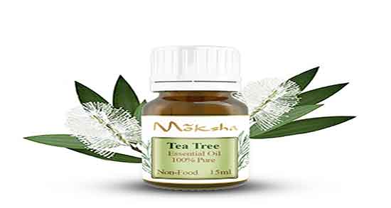 خواص روغن درخت چای برای جای جوش ؛ درخت چای برای جوش زیر پوستی