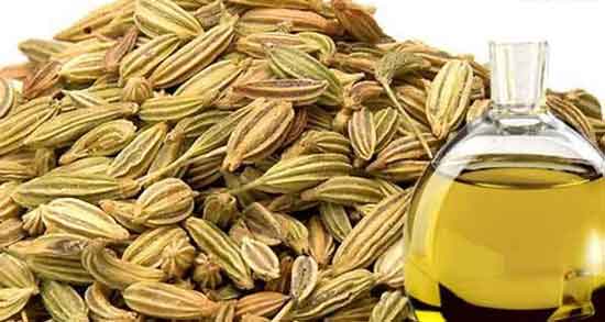 خواص روغن رازیانه ؛ برای حجم دهنده و موی سر و لاغری شکم خواص روغن رازیانه ؛ برای حجم دهنده و موی سر و لاغری شکم