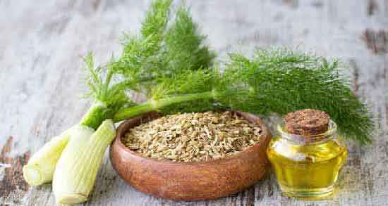 خواص روغن رازیانه و طریقه مصرف ؛ آشنایی با خواص و نحوه استفاده روغن رازیانه خواص روغن رازیانه و طریقه مصرف ؛ آشنایی با خواص و نحوه استفاده روغن رازیانه