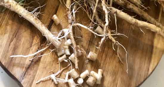 خواص ریشه کاسنی برای رحم ؛ فواید عرق کاسنی برای رحم زنان باردار