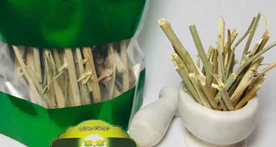 خواص ریشه کاسنی چیست ؛ فواید ریشه کاسنی برای درمان کبد چرب خواص ریشه کاسنی چیست ؛ فواید ریشه کاسنی برای درمان کبد چرب