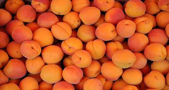 خواص زردآلو برای لاغری ؛ فواید مصرف زردآلو برای لاغری شکم و پهلو