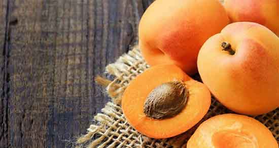 خواص زردآلو در بارداری ؛ فواید مصرف زردآلو در دوران بارداری