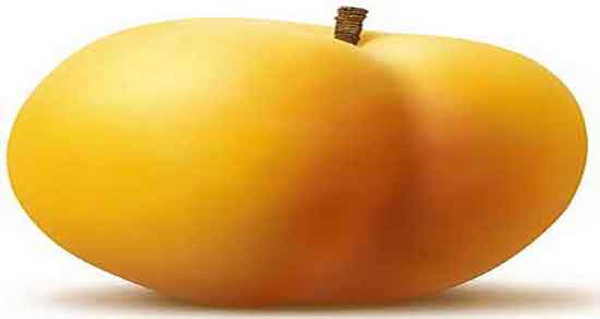 خواص زردآلو در طب سنتی ؛ استفاده از هسته ی زردآلو از نظر طب سنتی