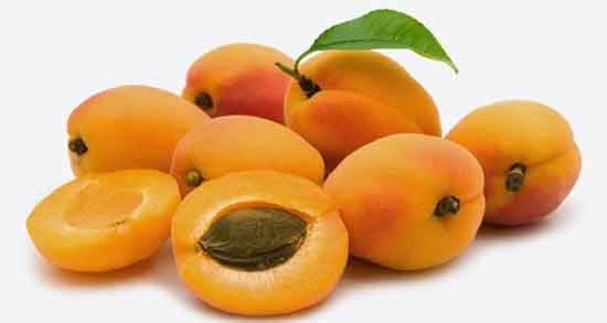 خواص زردآلو و بارداری و فواید مصرف زردالو برای زنان باردار چیست خواص زردآلو و بارداری ؛ فواید مصرف زردالو برای زنان باردار چیست