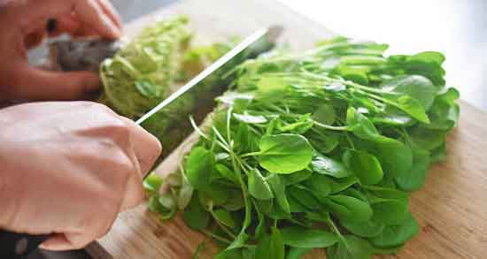 خواص سبزی شاهی در بارداری و فواید مصرف سبزی شاهی برای بارداران خواص سبزی شاهی در بارداری ؛ فواید مصرف سبزی شاهی برای بارداران