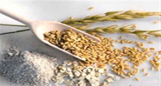 خواص سبوس جو دوسر در طب سنتی ؛ سبوس جو دوسر از نظر طب سنتی خواص سبوس جو دوسر در طب سنتی ؛ سبوس جو دوسر از نظر طب سنتی