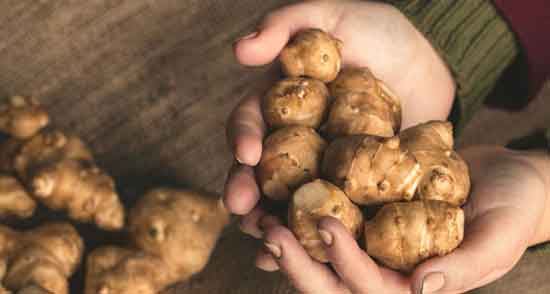 خواص سیب زمینی ترشی ؛ طریقه مصرف و غذا با انواع سیب زمینی ترشی