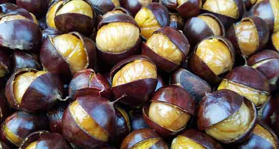 خواص شاه بلوط برای پوست ؛ فواید مصرف شاه بلوط هندی برای بدن