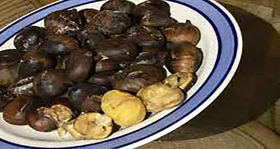 خواص شاه بلوط تلخ ؛ فواید مصرف شاه بلوط تلخ برای شستن واژن خواص شاه بلوط تلخ ؛ فواید مصرف شاه بلوط تلخ برای شستن واژن