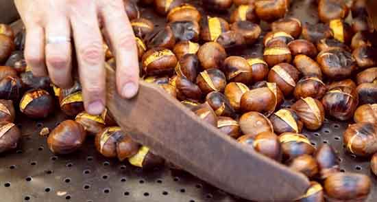 خواص شاه بلوط هندی برای پوست + طبع و طریقه مصرف شاه بلوط خواص شاه بلوط ؛ هندی برای پوست + طبع و طریقه مصرف شاه بلوط