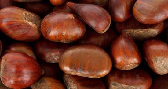 خواص شاه بلوط چیست ؛ خاصیت مصرف شاه بلوط برای بدن چیست خواص شاه بلوط چیست ؛ خاصیت مصرف شاه بلوط برای بدن چیست