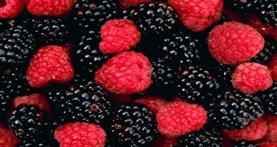 خواص شاه توت برای اسپرم ؛ تقویت اسپرم اقایان با مصرف اب شاه توت خواص شاه توت برای اسپرم ؛ تقویت اسپرم اقایان با مصرف اب شاه توت